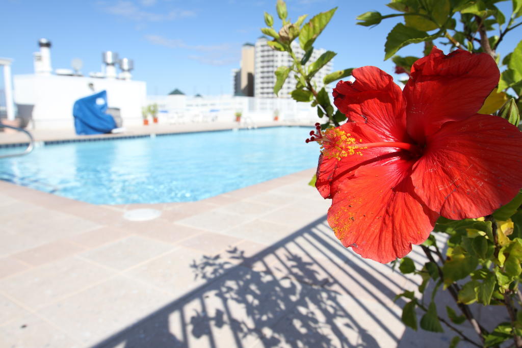 Princess Bayside Beach Hotel Ocean City Ngoại thất bức ảnh