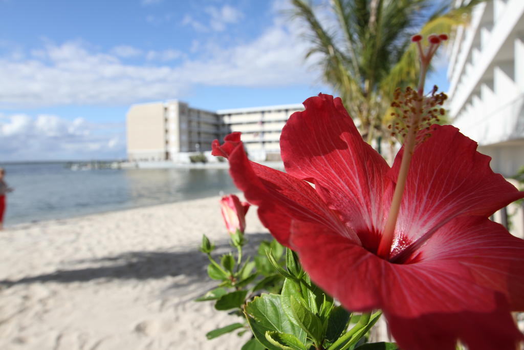 Princess Bayside Beach Hotel Ocean City Ngoại thất bức ảnh